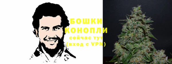 шишки Губаха