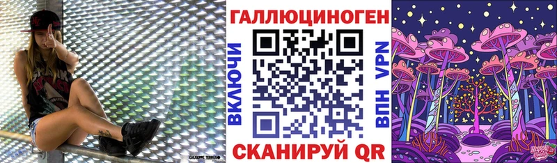 купить наркотик  Тутаев  сайты даркнета какой сайт  Псилоцибиновые грибы Cubensis 